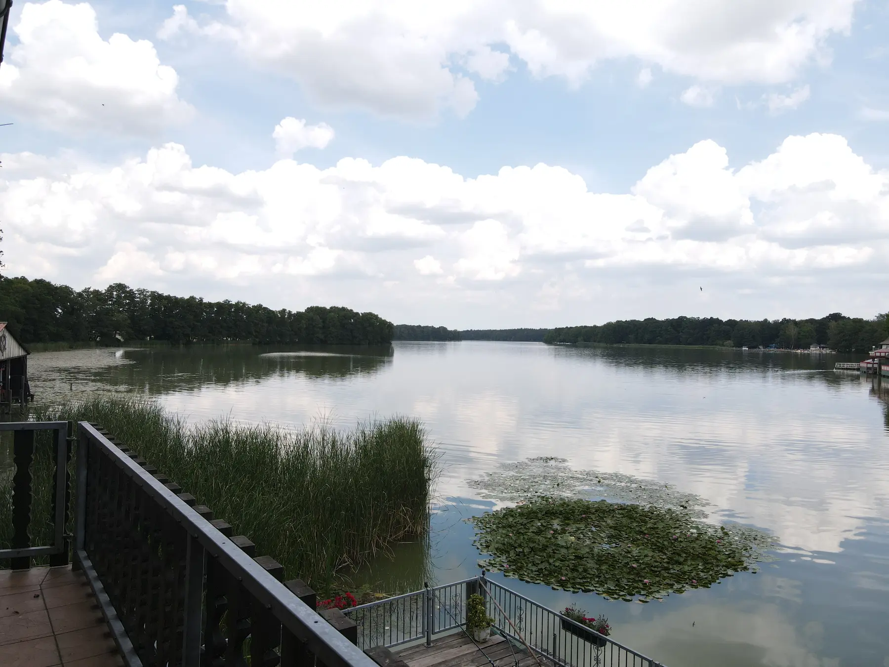 Panoramablick über den ruhigen Klempowsee
